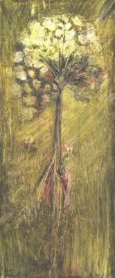 "Eden" - Von Carla Frohnapfel