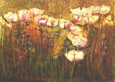 "Mohn - Kleinzicker" - Von Carla Frohnapfel