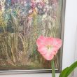 Lorenziane Galerieeroeffnung 34 mini